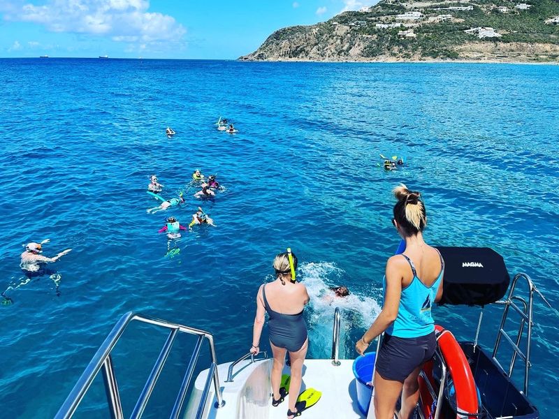 Guest wearing a snorkel mask surrounded by colourful reef fish beneath Sail The Phoenix