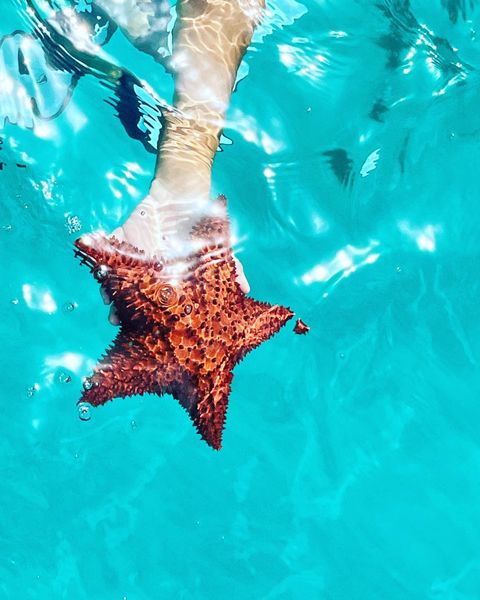 Guests treading water and swimming near Sail The Phoenix anchored in clear blue water